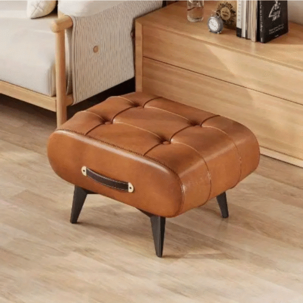 Portable Faux Leather Shoe Stool with Storage